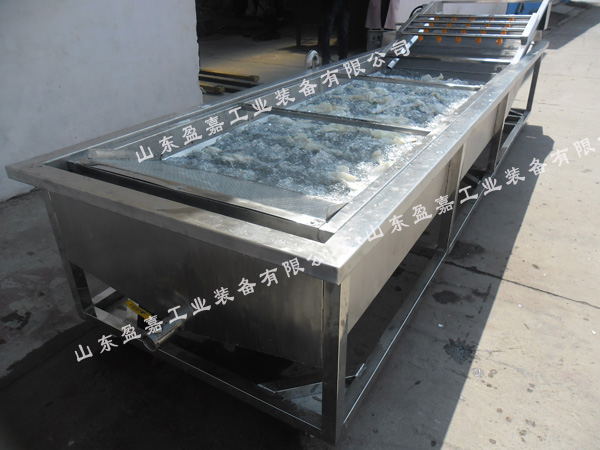 連續(xù)式蘑菇鼓泡清洗機(jī)，支持加工定制